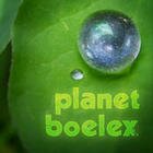 Planet Boelex